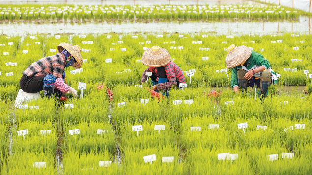 1740446593543_N7ifpX_1740446593956